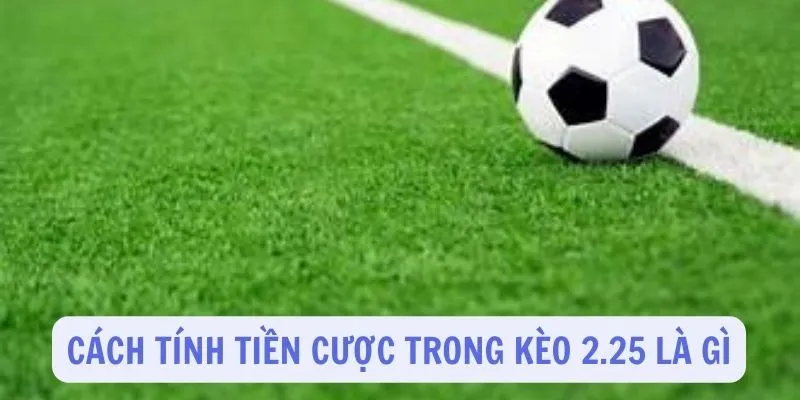 Cách tính tiền cược kèo 2.25