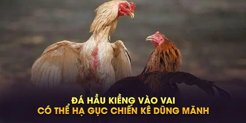 da hau kieng vao vai co the ha guc chien ke dung manh edda56ab