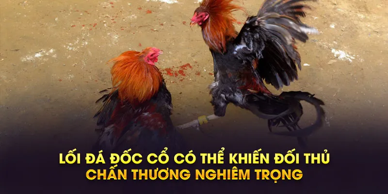 loi da doc co co the khien doi thu chan thuong nghiem trong e84b210e