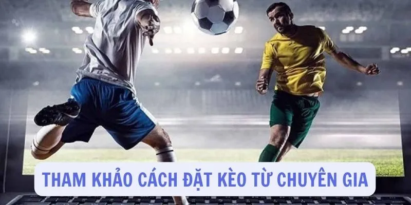 Tham khảo ý kiến chuyên gia